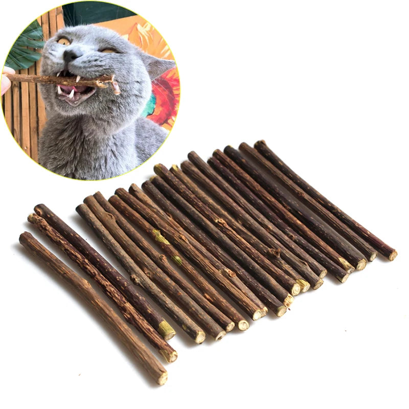 Natural Cat nip Pet Cat Molar Toothpaste Stick  Actinidia Fruit Silvervine Cat Snacks Sticks Pet Cleaning Teeth pet products