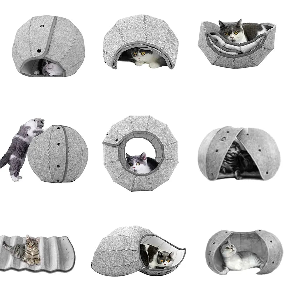 Cute Shell Cat Bed House Indoor Foldable Multi-Function Cat Tent Scratch Resistant Cat Tunnel Tube Cat Toy Cave Pet Products