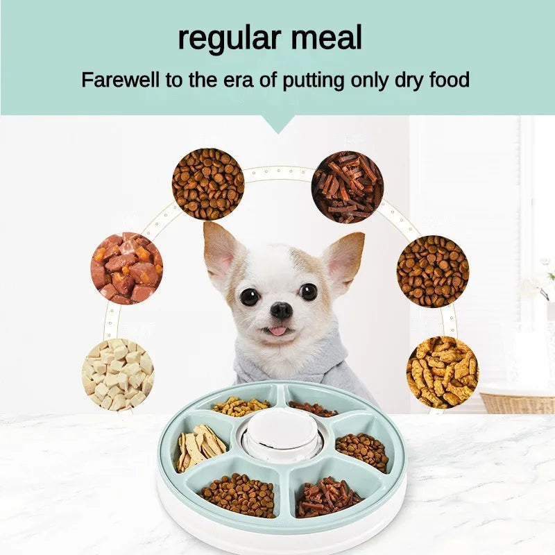 Automatic Cat Dog Feeder Wet Food/Dry Food, 6 Meal Timed Pet Feeder , Battery Supply Auto Feeder for Cats/Small Dogs,  Pet Bowl