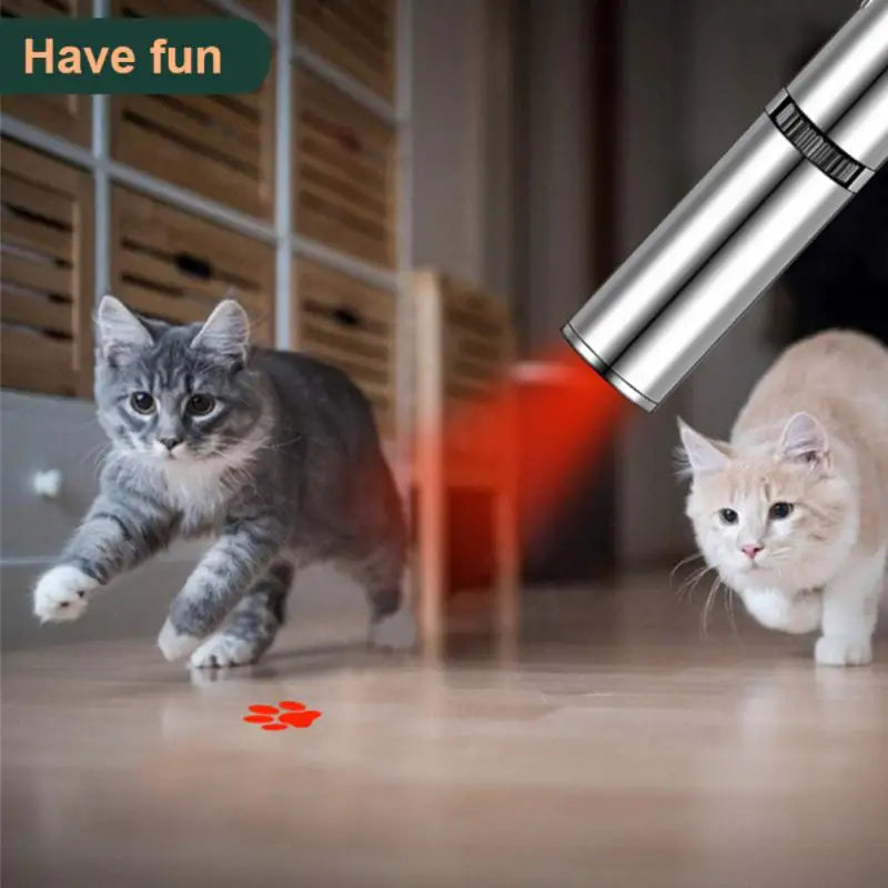 In 1 Cat Stick Toy Multifunctional Pet Supplies  Pet Projector Led Cat Toy Slide Control Cat Care Products Pet Toy Projection